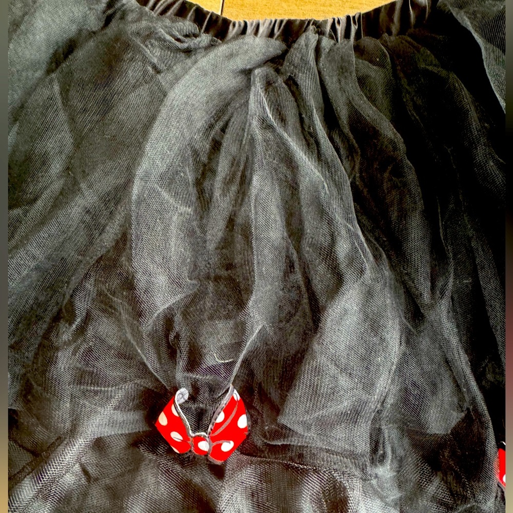 Mini mouse tutu skirt from Disney collection size 10.